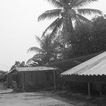 d right hand side.jpg